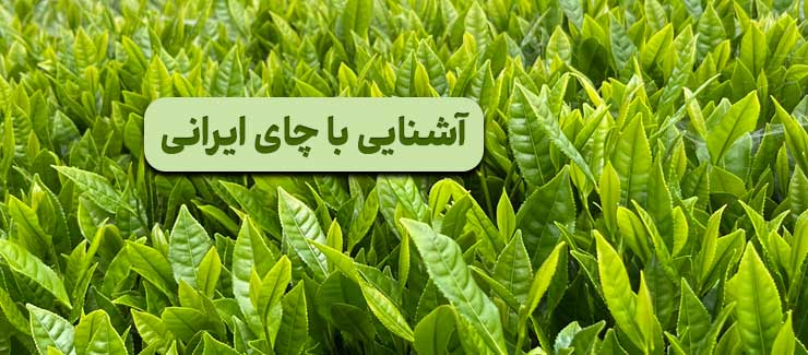 آشنایی